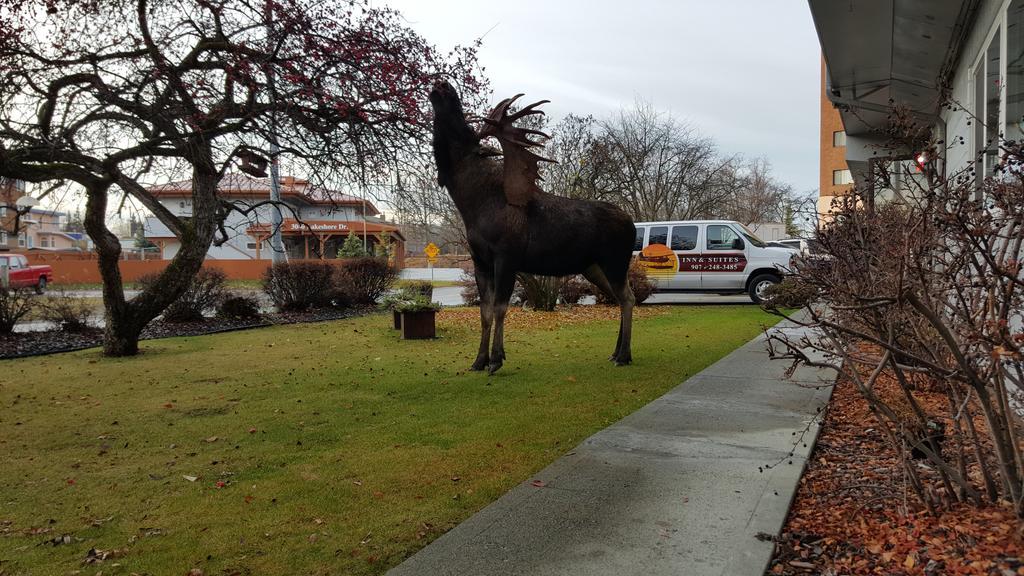 Lakeshore Inn & Suites Anchorage Buitenkant foto
